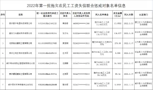 2022年贵州省第一批拖欠农民工工资失信联合惩戒对象名单 4 2022年贵州省第一批拖欠农民工工资失信联合惩戒对象名单